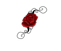 Rose Tattoo