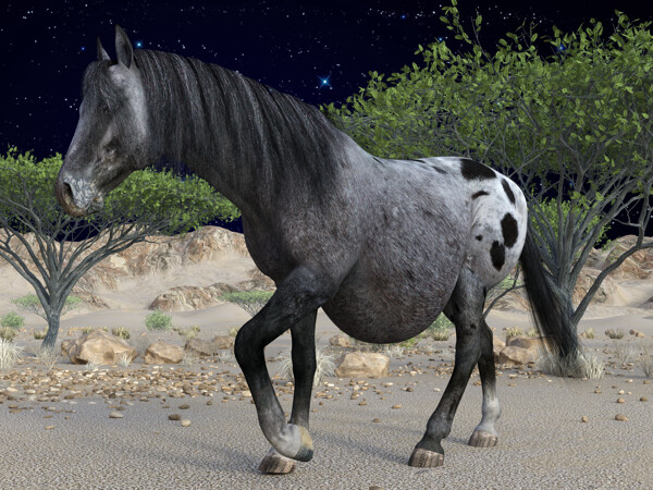 Full dapple grey horse A by WerewolfCZ -- Fur Affinity [dot] net