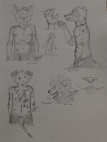 Anatomy studies