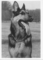 "Yes, I am this goodlooking"