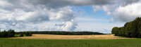Sky with clouds and fields and wood