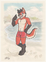 Swimwear