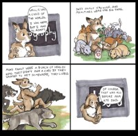 Wolffit, on Biography