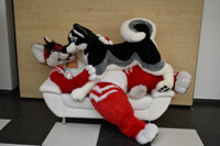 Eurofurence 24 - Look at this cutie <3