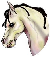 A pale, scary horse