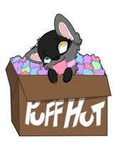 Small fox and a Box of Puffs
