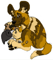Wild Dog Horizons