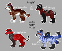 [Open 4/4] Cheap Adopts