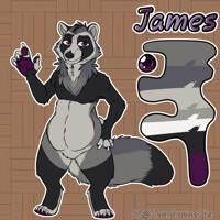 James mini-ref
