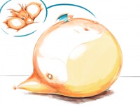 Charizard Learned Self-Destruct!