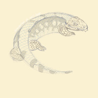 Blue tongued skink sketch