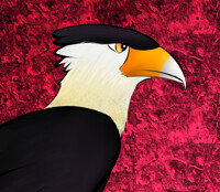 11/15/20 - Simple Improvement (NR/D-Krita)