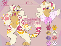 Tiger reference sheet