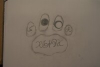 paw print