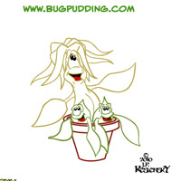 Pot Poachers Have Taken Over!