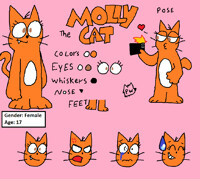 New Reference Sheet - Molly Cat
