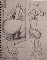 Commish - Angurius Stomp Sequence