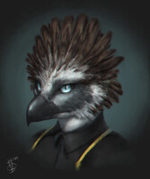 headshot for Gyrfalcon2[2]