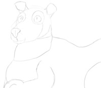Buddy the dog (sketch)