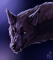Grim wolf