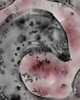 (Gi-R) Odd Days & Soup - Thanksgiving