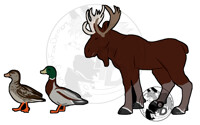 Tshirt DuckDuck Moose 2020