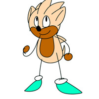 Me as a sonic character