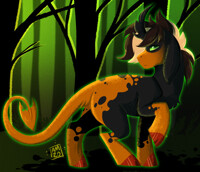 In The Woods