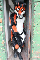 LORD OF THE WORLD *747х5001*