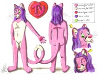Ty Cougar Ref Sheet