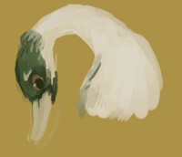sketch trade 6