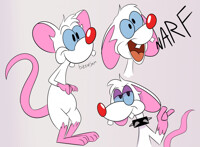 Some Pinkys