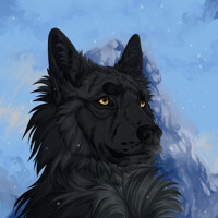 CM: │ Сергей Волков │ [VK]