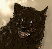 Sketch "MAD WOLF"