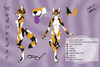 Wednesday Reference Sheet