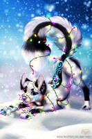Tangled up in Christmas lights