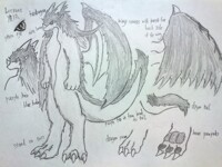 dragon sheet