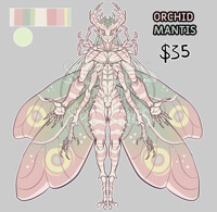 Orchid Mantis (CLAIMED)