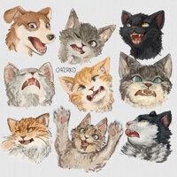 Pets Study