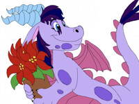 Putting up poinsettias