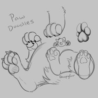 Paw Doodles <3