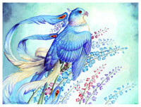 Birdflower Series - Larkspur - July