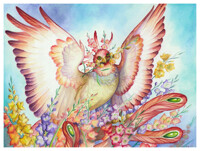 Birdflower Series - Gladiolus - August