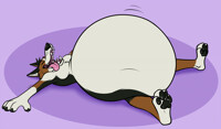 Big tummy!