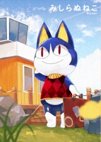 みしらぬねこ