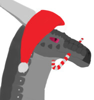 me in a Christmas hat x3