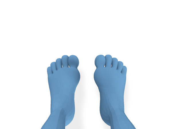 Female Feet - Buy Royalty Free 3D model by Lassi Kaukonen