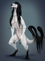 Reptile with Haircut - Sold