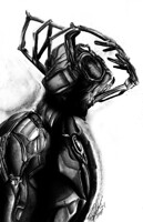 Nyx Prime - Traditional Charcoal