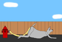 Filled Dog